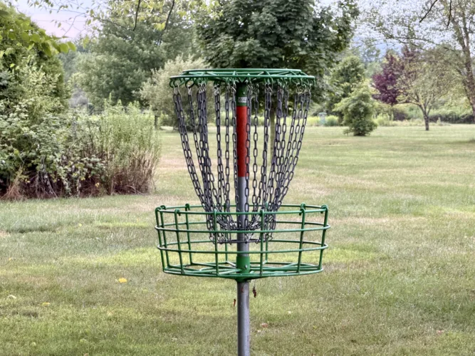 Williamsport man proposes Brandon Park disc golf course to council